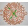 Design Quartz wall clock Item Coral